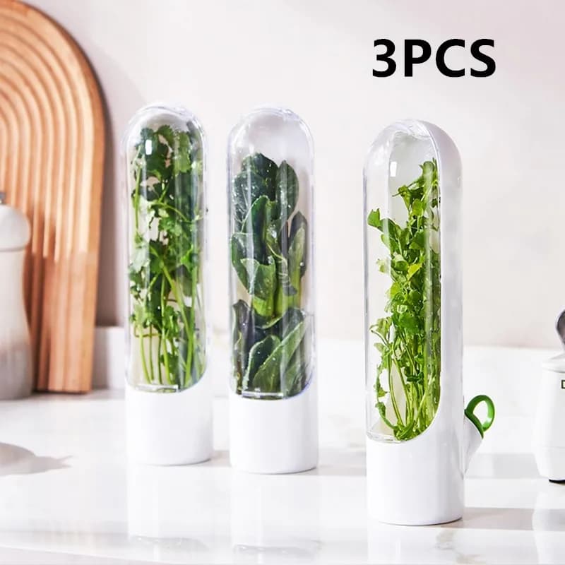 Herb Saver Containers: Keep Your Greens Fresh